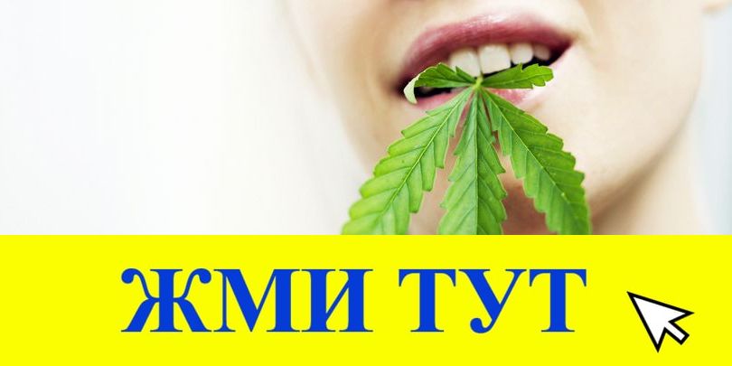 Купить наркотики в Новозыбкове